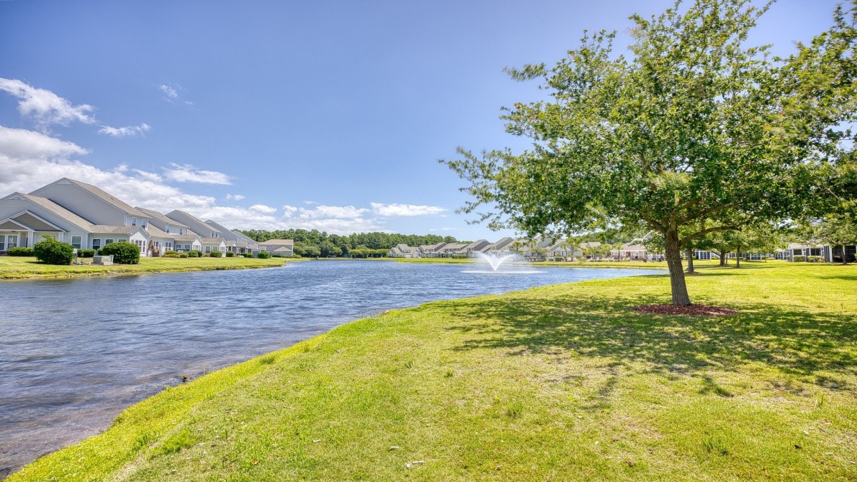 Pond View