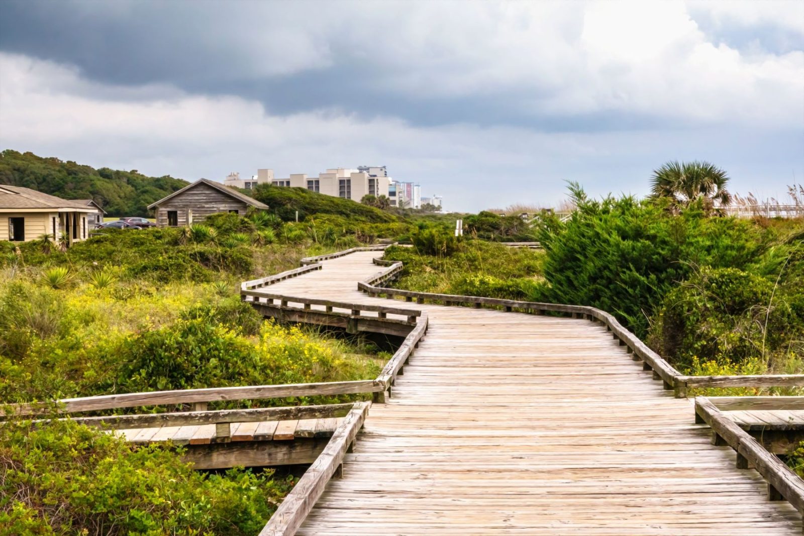 Perspective of winding boardwalk