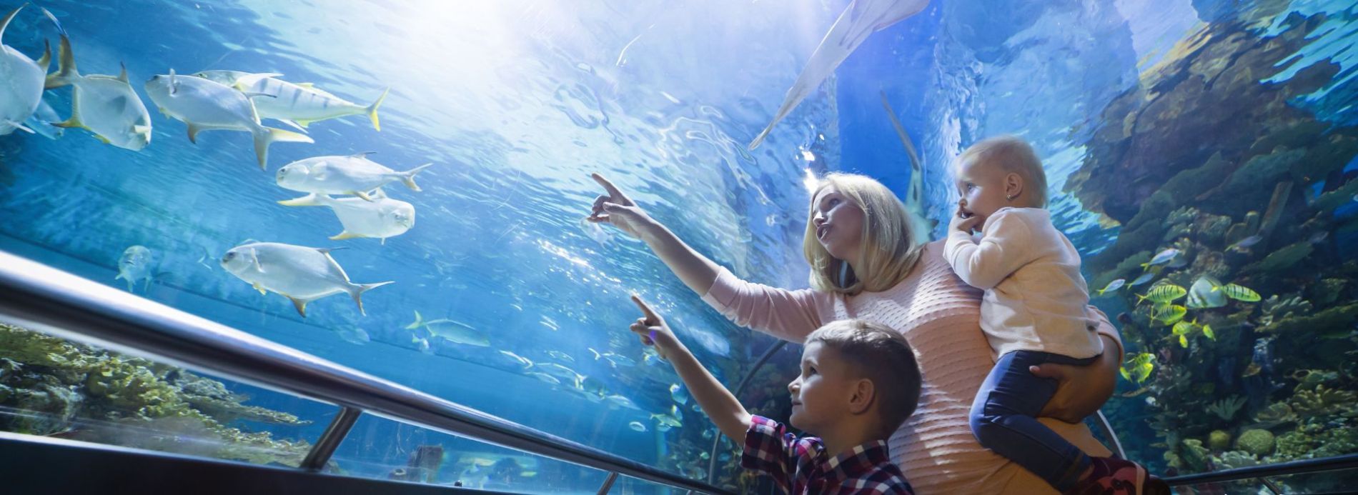 Family looking at fish in aquarium