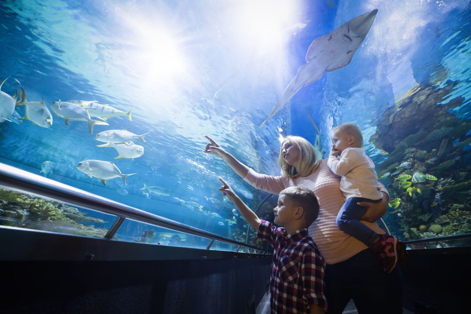 Family looking at fish in aquarium