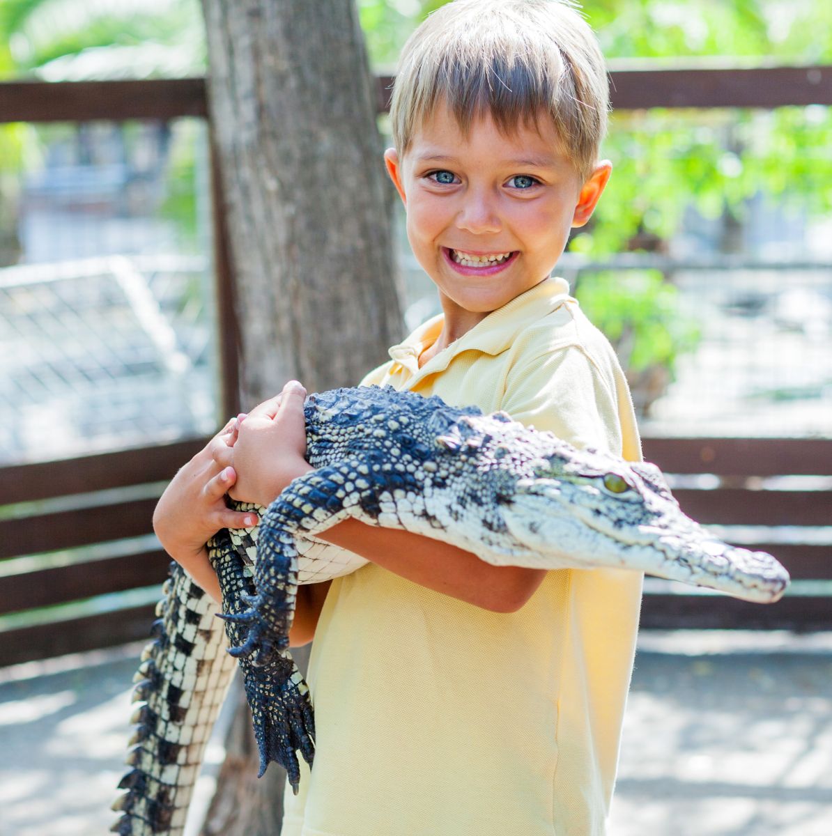 Child posing with young alligator